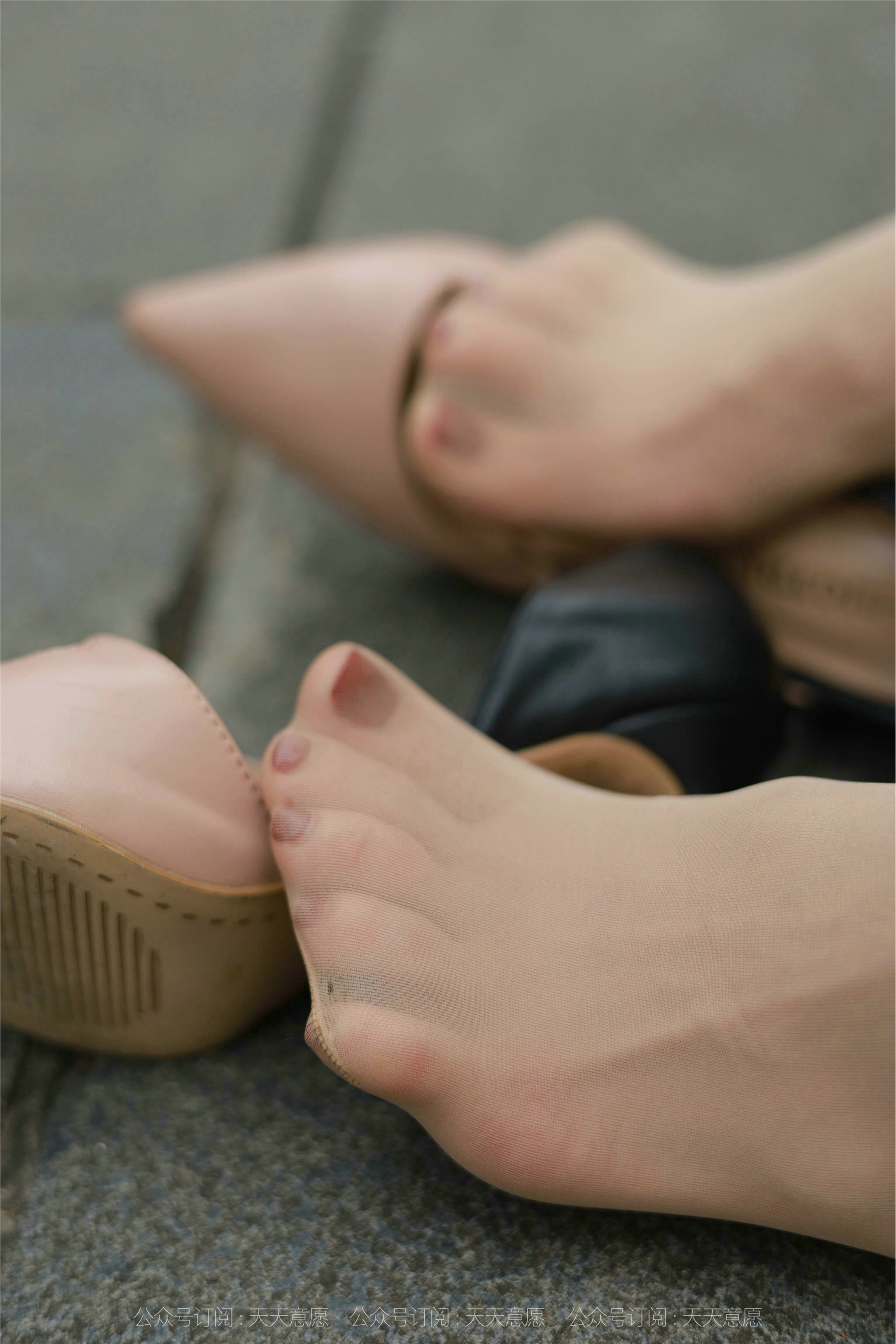 IESS异思趣向  2021.10.23 丝享家955：小六《带你去散步》